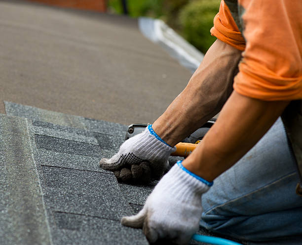 Best Commercial Roofing Services  in Trainer, PA